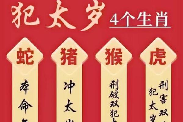 什么是犯太岁? 什么是犯太岁?